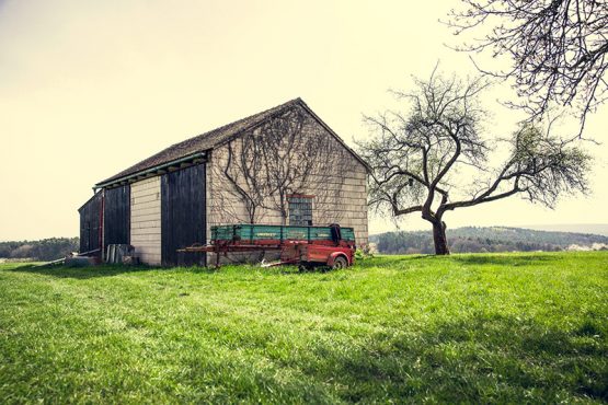 Green House